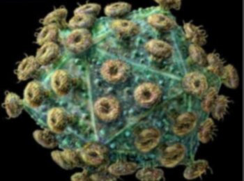 � 2012 ���� �� ���-�������� ������ 18 ��������