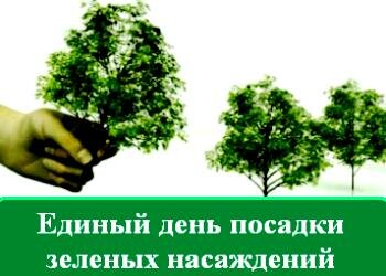 � ������ 12 ������� ������� ������������� ����� ������� ���� ������� ������� ����������