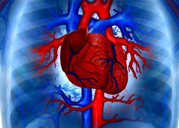 ��������� ����������� ����������� ���������� ��������� ���������������